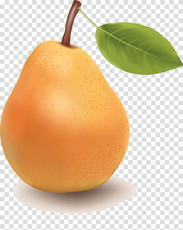 Pear Tangerine Fruit Tangelo, pear transparent background PNG clipart