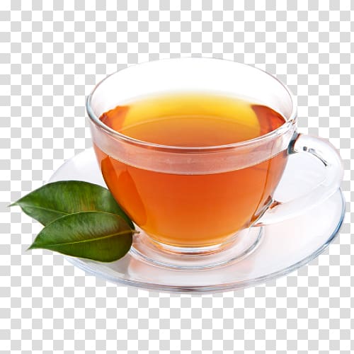 Green tea Barley tea Assam tea Coffee, tea transparent background PNG clipart
