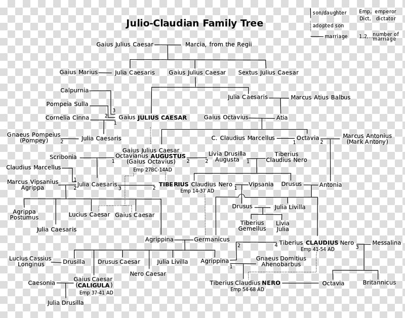 Principate Julio-Claudian dynasty Family tree I, Claudius, tree timeline transparent background PNG clipart