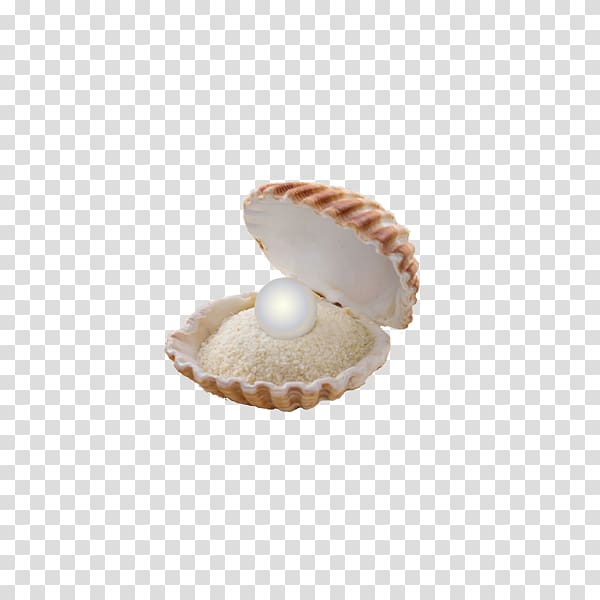 Clam Seashell , Sand and sand in clam shells transparent background PNG clipart