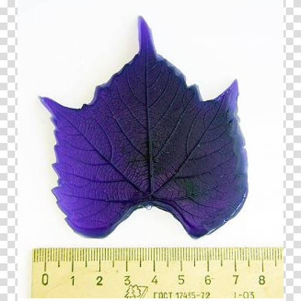 Leaf Purple, moldy transparent background PNG clipart