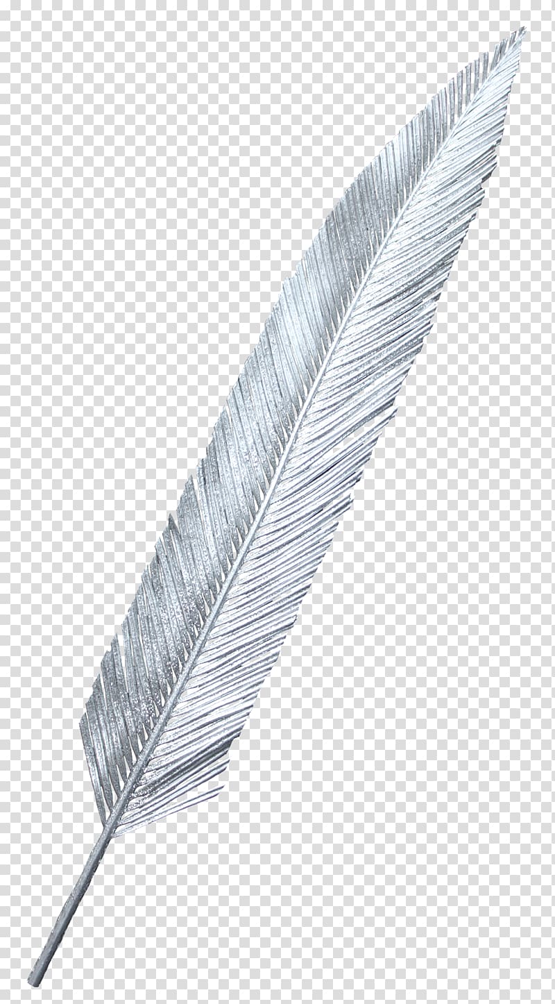 White feather, White feathers transparent background PNG clipart