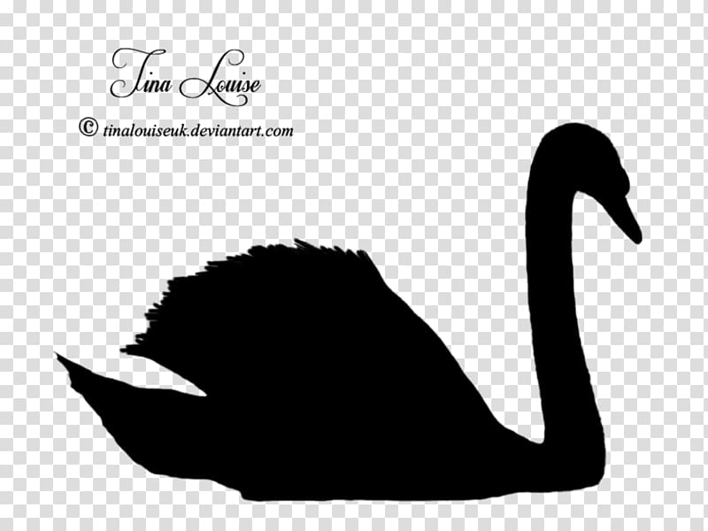 Duck Goose Silhouette Black swan , black swan transparent background PNG clipart