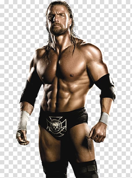 Triple H WWE '13 WWE Raw WWE 2K14 D-Generation X, triple h transparent background PNG clipart
