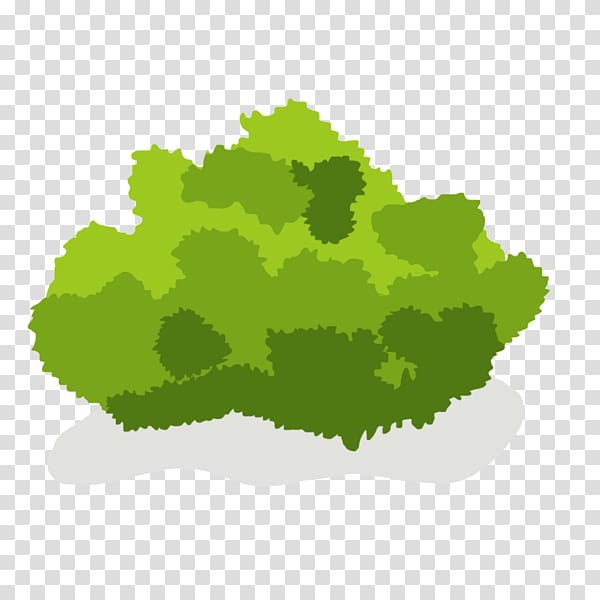 Shrub Tree Drawing , Green Bush transparent background PNG clipart