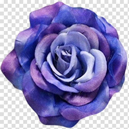Blue rose Cobalt blue Flower, burgundy flowers transparent background PNG clipart