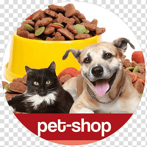 Dog Cat Rainbow Bridge Pet Shop, PETSHOP transparent background PNG clipart