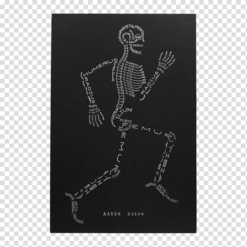 The Skeletal System Human skeleton Human body Anatomy, skeleton printing transparent background PNG clipart