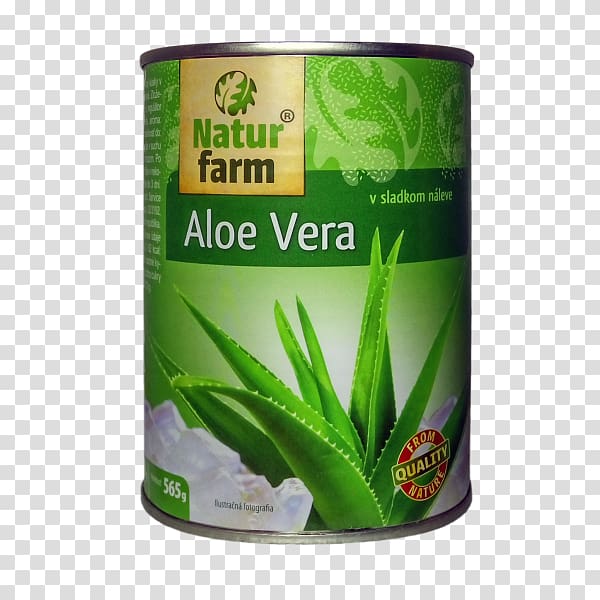 Aloe vera Vitamin Compote Elintarvike Diet, aloevera transparent background PNG clipart