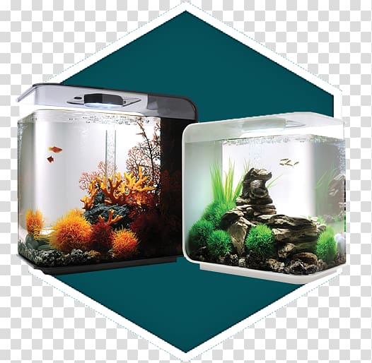 Aquariums Light-emitting diode Filtration, aquarium decoration transparent background PNG clipart
