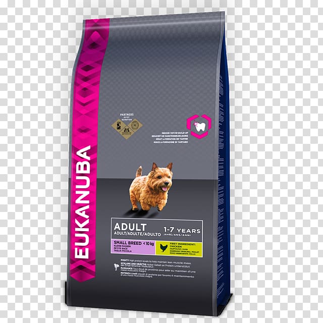 Puppy Golden Retriever Eukanuba Dog breed Dog Food, puppy transparent background PNG clipart