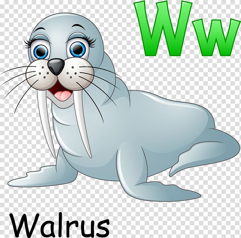 Walrus Cartoon Illustration, Cartoon sea lion material transparent background PNG clipart