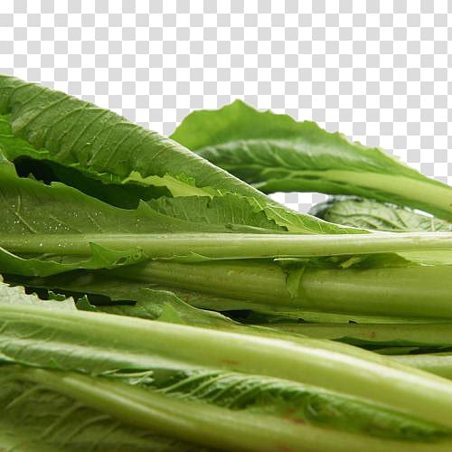 Romaine lettuce Choy sum Spring greens Collard greens Cabbage, Organic cabbage transparent background PNG clipart