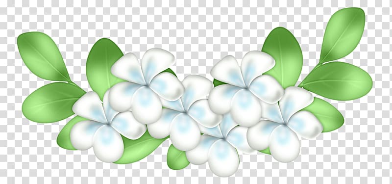 white jasmine flower, PPT Background transparent background PNG clipart
