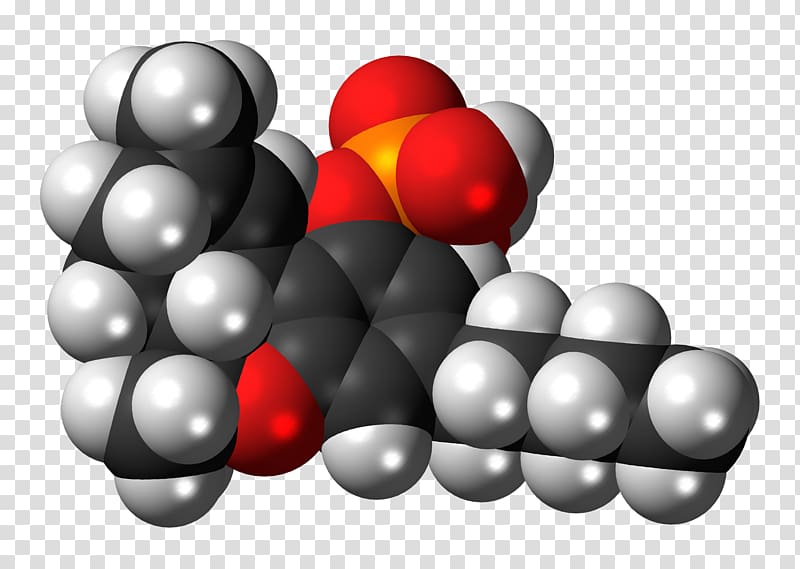 Tetrahydrocannabinol Cannabinoid Cannabis Cannabidiol Space-filling model, cannabis transparent background PNG clipart