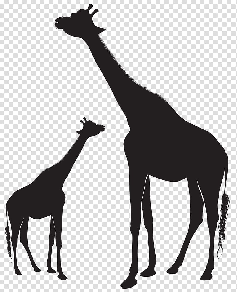 Northern giraffe Silhouette , giraffe transparent background PNG clipart