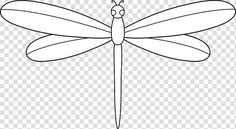 Butterfly Insect Line Symmetry Point, Dragonfly Outline transparent background PNG clipart