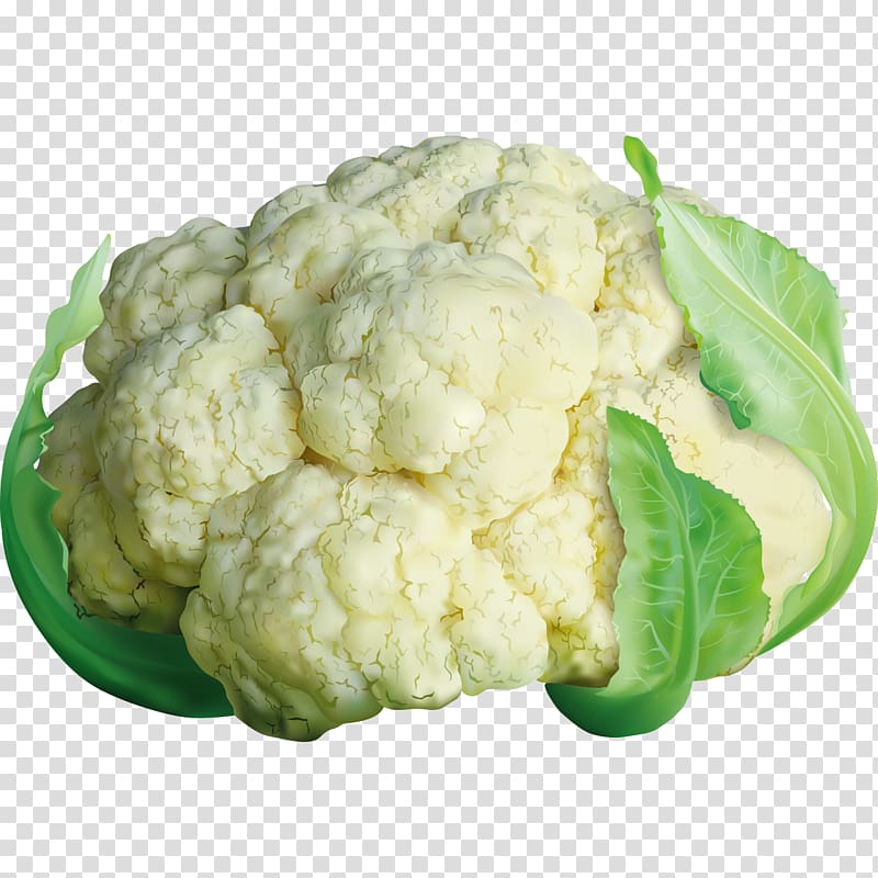 Cauliflower Cabbage Brussels sprout Broccoli, Ultra-realistic material cabbage transparent background PNG clipart