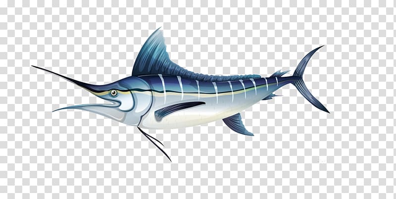 Atlantic blue marlin Illustration, Beautiful fish creative transparent background PNG clipart