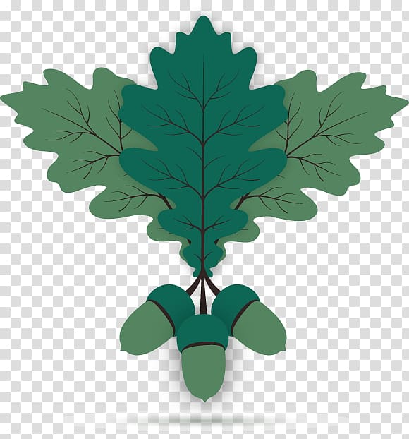 Oak Acorn Leaf Euclidean , Green leafy acorns material transparent background PNG clipart