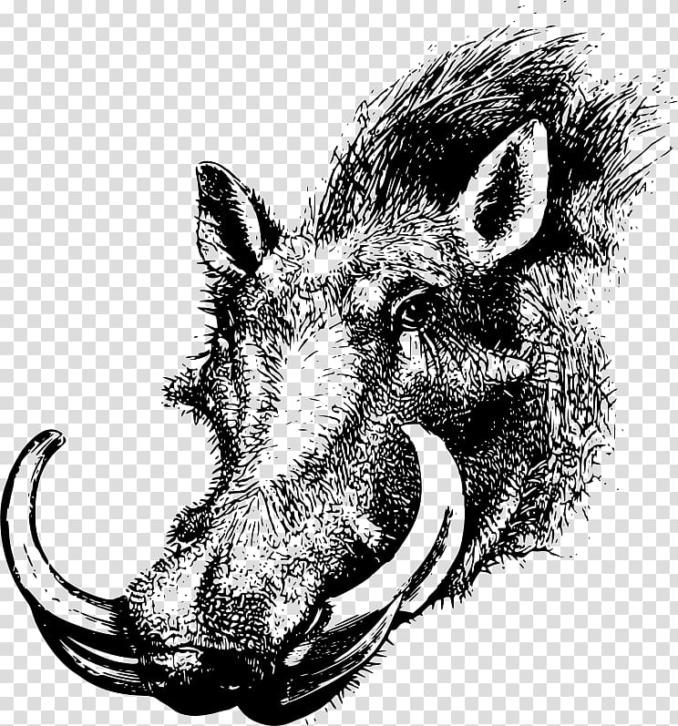Common warthog Wild boar Computer Icons , others transparent background PNG clipart
