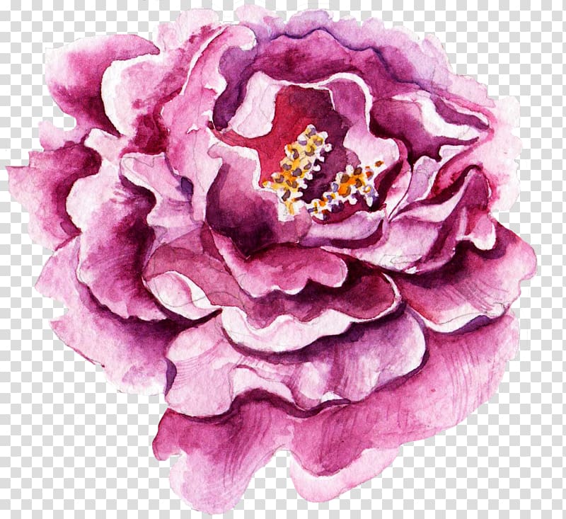 hand-painted watercolor roses decorative elements transparent background PNG clipart
