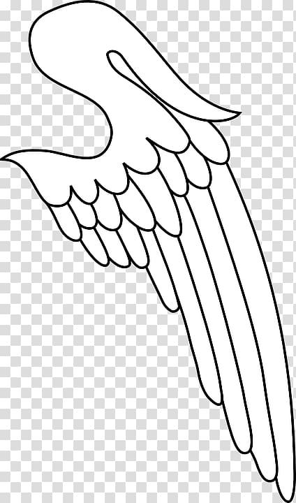 Thumb /m/02csf Drawing Beak, logo super wings transparent background PNG clipart