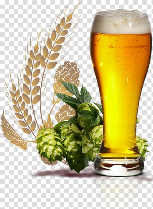 Wheat beer India pale ale Beer Glasses Beer style, beer transparent background PNG clipart