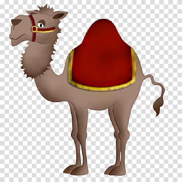 Bactrian camel Dromedary , others transparent background PNG clipart