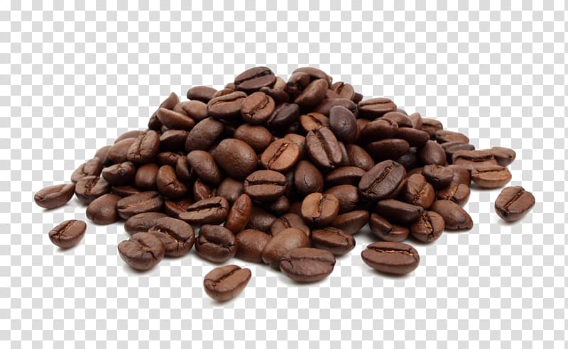 Coffee bean Cafe Jamaican Blue Mountain Coffee Cocoa bean, black beans transparent background PNG clipart
