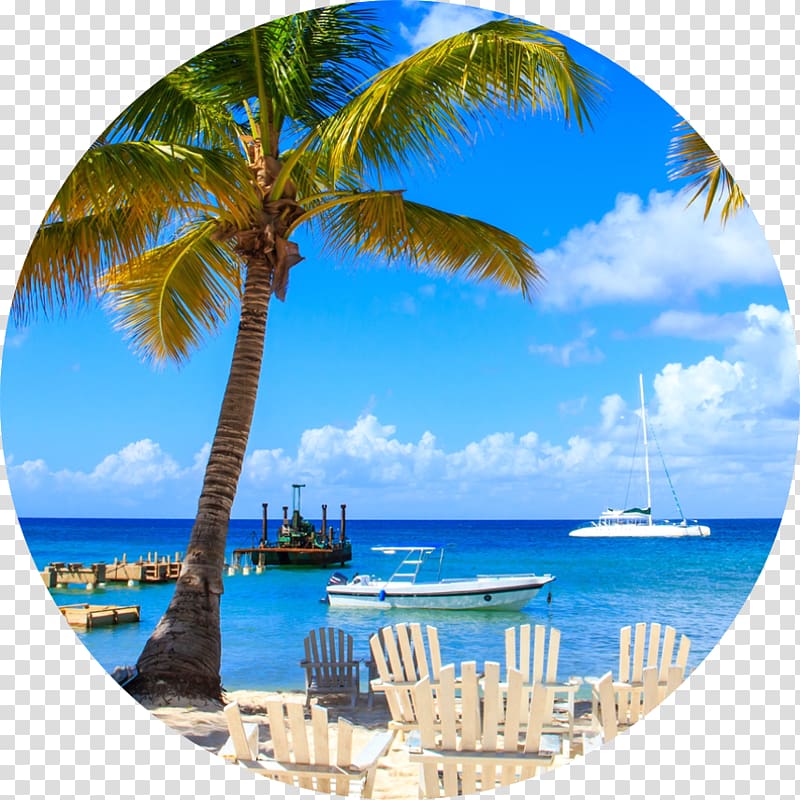 Punta Cana International Airport Bayahibe Saona Island Flight Puerto Plata, Dominican Republic, punta cana transparent background PNG clipart