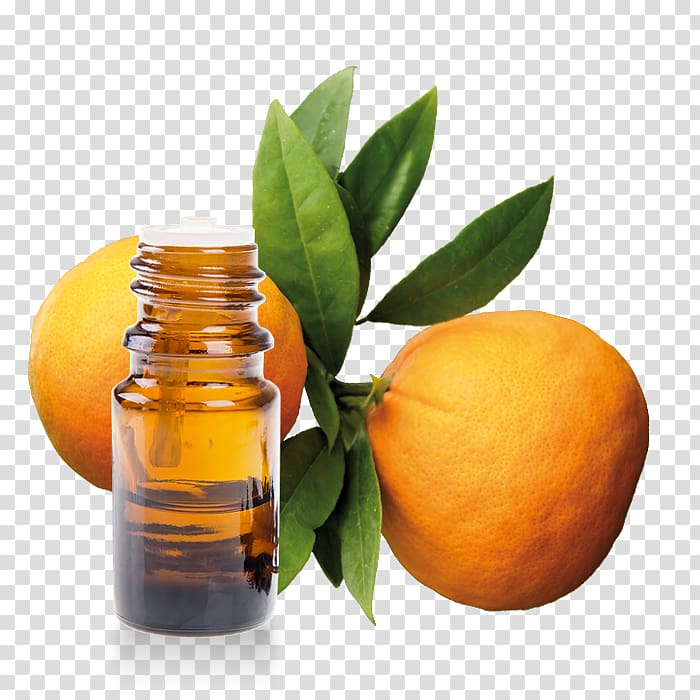 Bitter orange Marmalade Essential oil, Millet Grain. transparent background PNG clipart