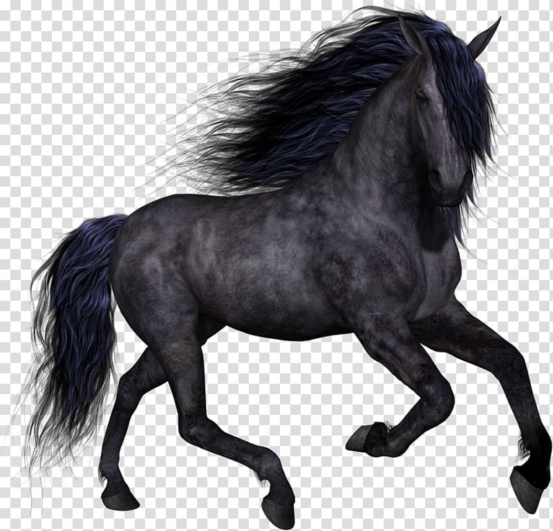 Horse , Horses transparent background PNG clipart