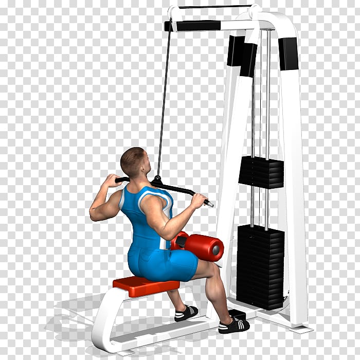 Latissimus dorsi muscle Fitness Centre Physical fitness Pulldown exercise, bodybuilding transparent background PNG clipart