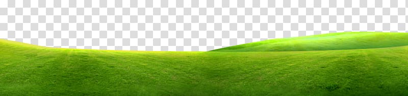Tennis ball Energy , Green grass border texture transparent background PNG clipart