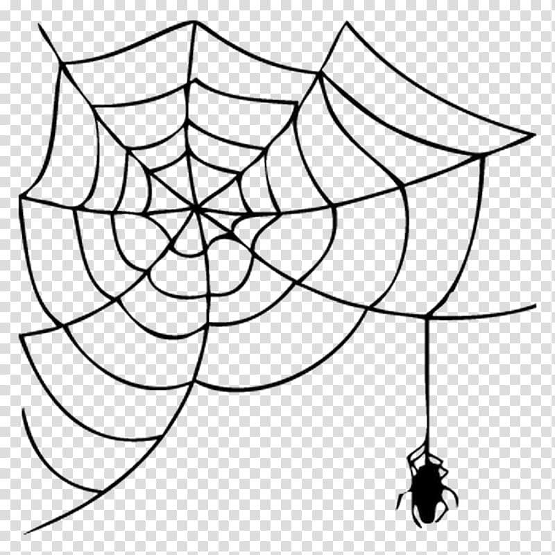 Spider web Drawing, spider transparent background PNG clipart