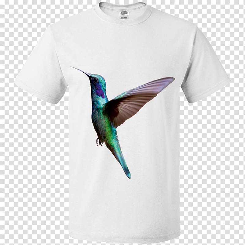 T-shirt Hummingbird M Message, T-shirt transparent background PNG clipart