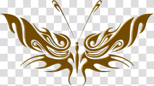 Butterfly , butterfly transparent background PNG clipart thumbnail