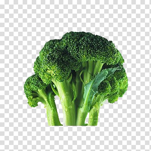 Cauliflower Broccoli Genital wart Vegetable Food, broccoli transparent background PNG clipart