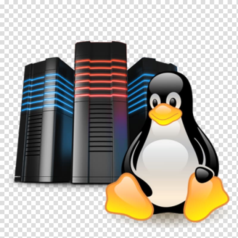 Shared web hosting service Internet hosting service cPanel, world wide web transparent background PNG clipart