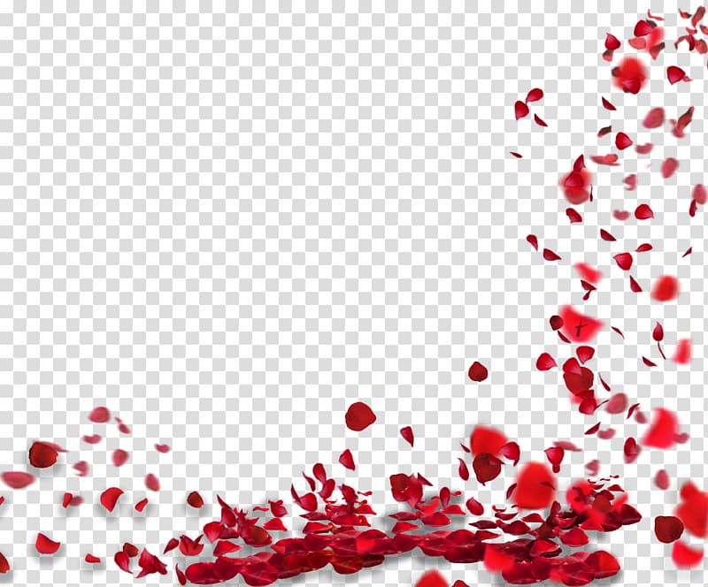 rose petals floating material transparent background PNG clipart