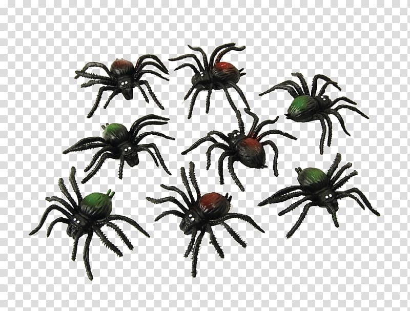 Spider web Costume party Halloween, ants transparent background PNG clipart