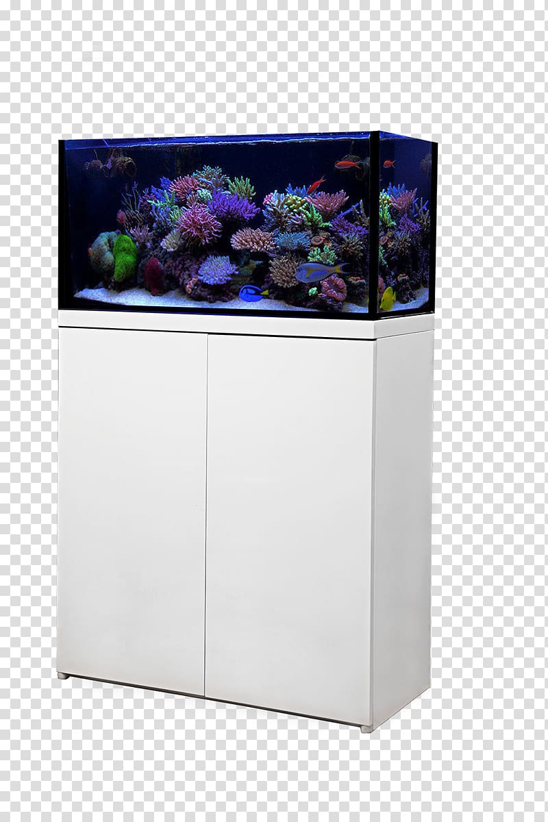 Octopus Protein skimmer Aquarium Filters Reef aquarium, others transparent background PNG clipart