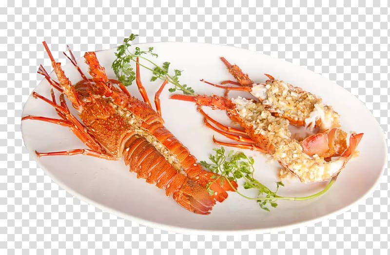Lobster Thermidor Caridea Prawn Fenjie Zhoudao, Australian lobster transparent background PNG clipart