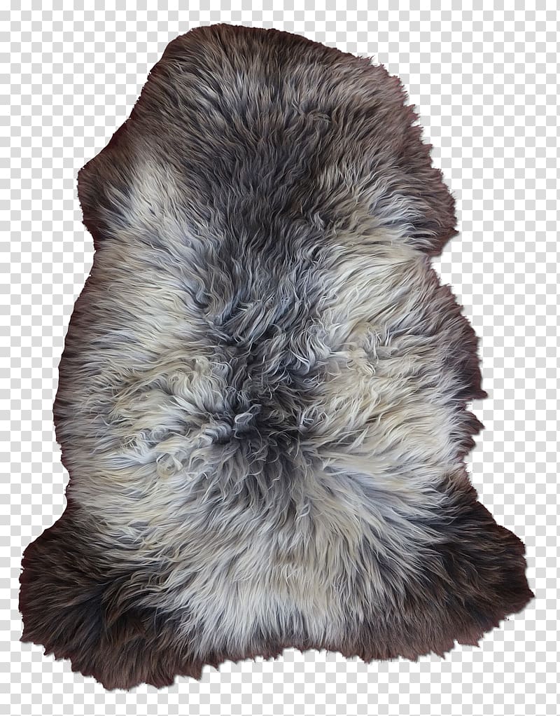 Fur Snout, mouton transparent background PNG clipart