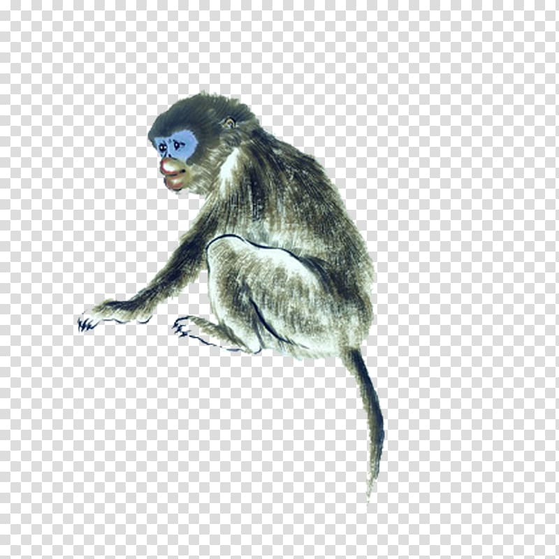 Chinese zodiac Monkey Tai Sui, Chinese zodiac of monkey style transparent background PNG clipart