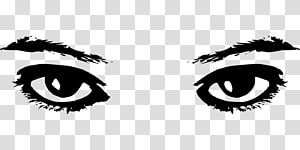 Eyebrow , Eye transparent background PNG clipart thumbnail