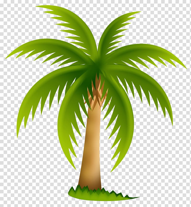 Arecaceae Date palm Sabal Palm , hemp transparent background PNG clipart