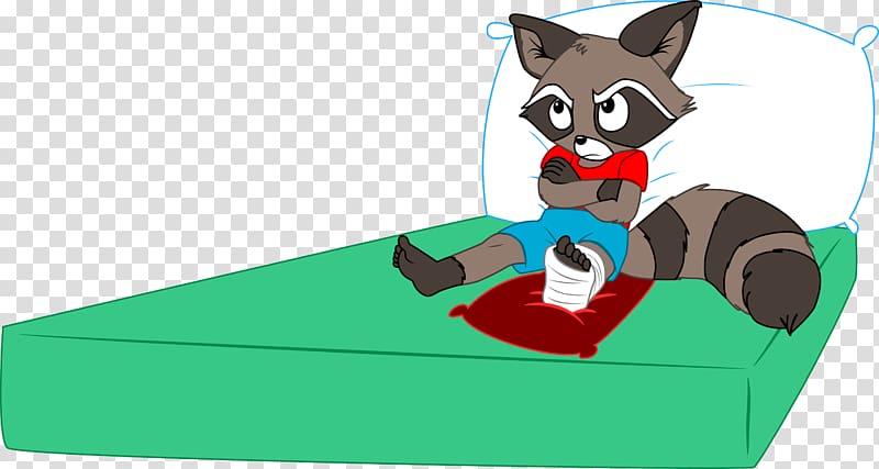 Dog Cat Mammal , Raccoon painting transparent background PNG clipart