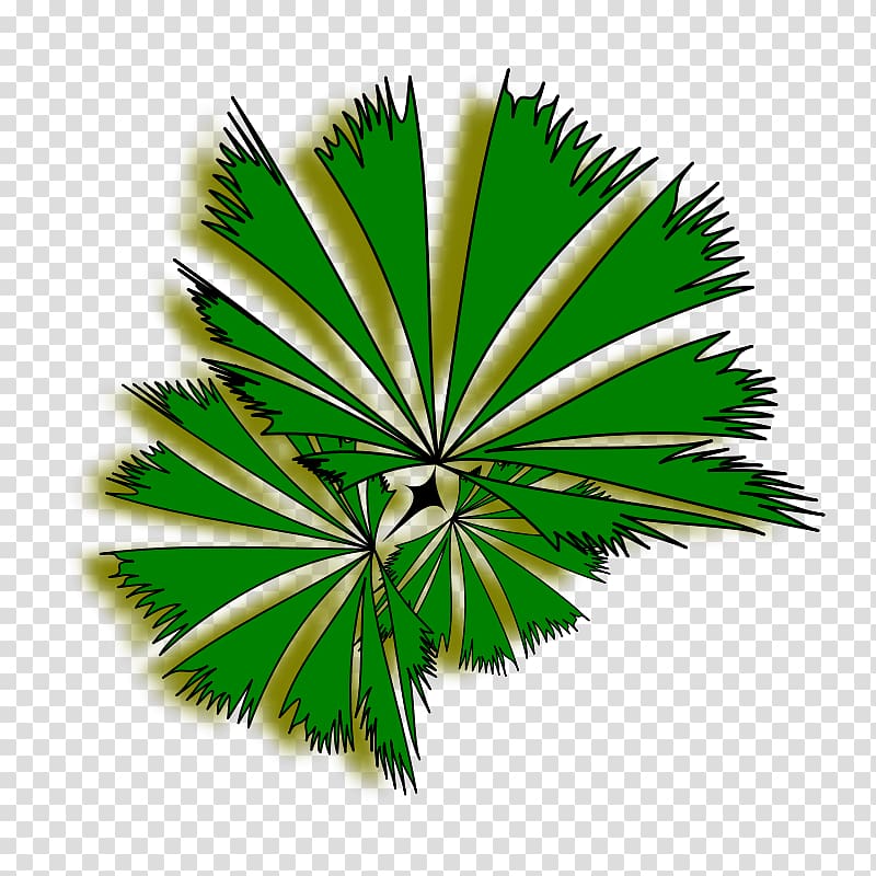 Arecaceae Tree Free content , Palm Tree Clip transparent background PNG clipart